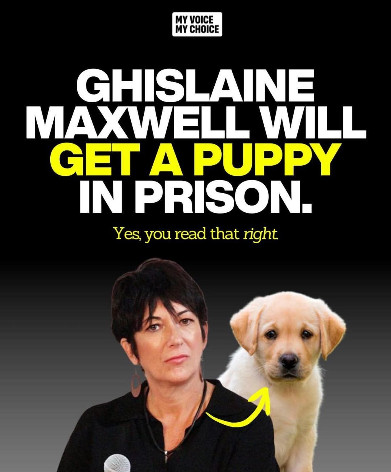 581108955_3647866818676797_7599391433203691569_n