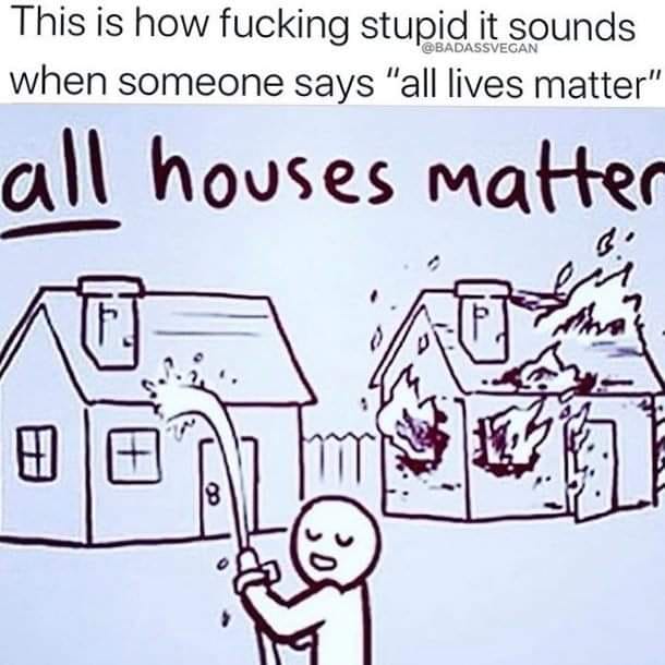 The meme is a simple drawing of a house on fire, with a person trying to put out the flames with a hose. The text "all houses matter" is written above the house, while "all houses matter" is written above the house on fire. The caption at the top reads "This is how f***ing stupid it sounds when someone says 'all lives matter'".