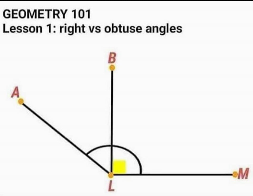This meme is a humorous illustration of a geometry lesson gone wrong. The image shows a diagram of a triangle with the labels "A", "B", and "C", but the angles are labeled as "A", "B", and "C" in a humorous way, with "A" being "Always", "B" being "Boring", and "C" being "Crazy". The text at the top of the image reads "GEOMETRY 101" and "Lesson 1: right vs obtuse angles".