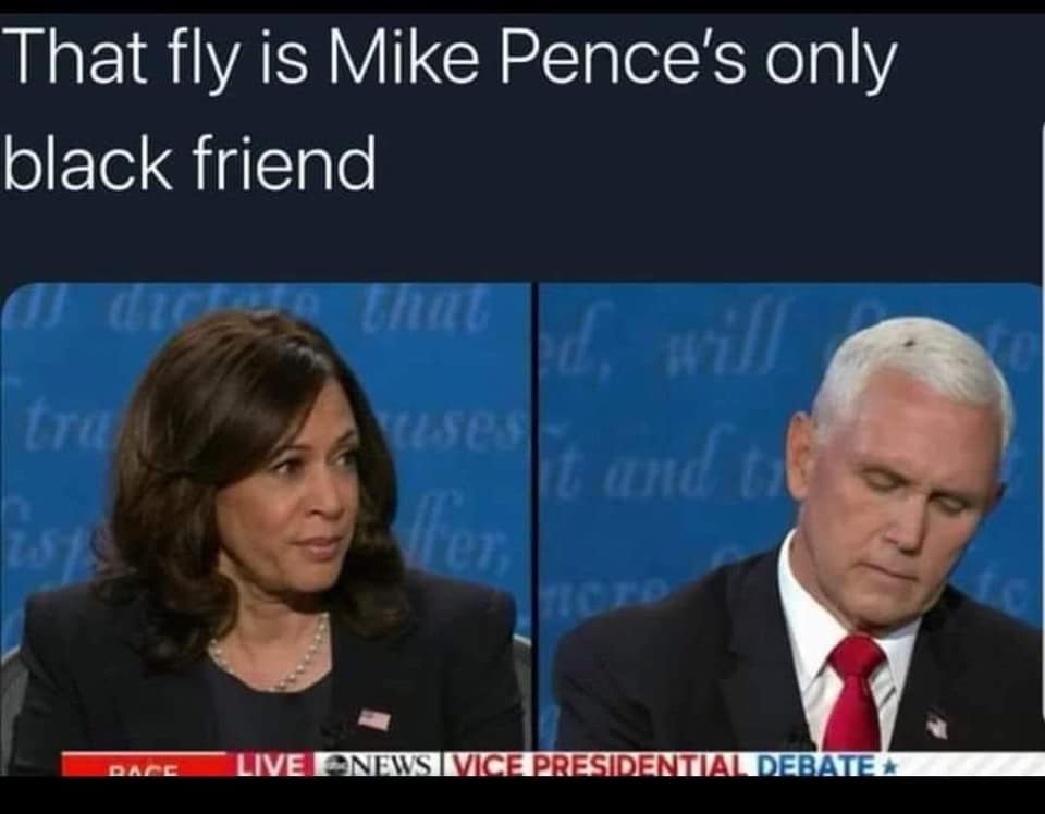 This meme is a play on the phrase "that's my boy" and is actually a joke about a fly on the head of Mike Pence, the former Vice President of the United States. The image shows a split-screen of a TV news debate between Mike Pence and Kamala Harris, with a fly on Pence's head. The text above the image reads "That fly is Mike Pence's only black friend".