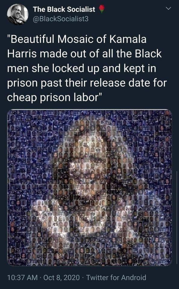 This meme is a photo of a mosaic of Kamala Harris, created from a large number of small images of Black men, with the text "Beautiful Mosaic of Kamala Harris made out of all the Black men she locked up and kept in prison past their release dates for cheap labor." The meme is a commentary on the historical and ongoing issue of racial injustice in the US, and how it has been used to exploit and oppress Black people.