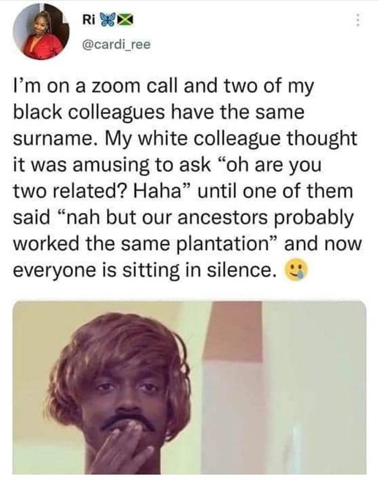 This meme is a humorous tweet about a Zoom call where someone is surprised to learn that two colleagues have the same surname. The text reads: "I'm on a Zoom call and two of my black colleagues have the same surname. My white colleague thought it was amusing to ask 'are you two related?' I said 'no' but our ancestors probably worked the same plantation. Now everyone is silent." The image is likely a still from a TV show or movie with a character looking shocked or embarrassed.