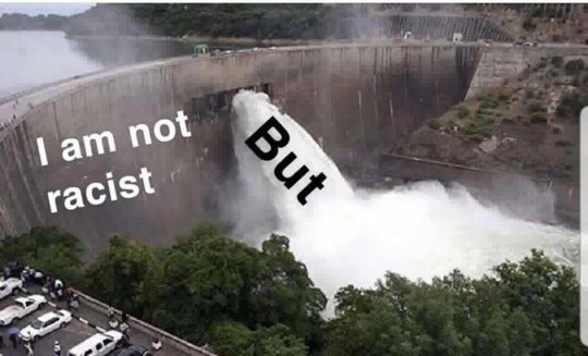 This meme features an image of a dam or a similar structure with a large amount of water spilling out. The text "I am not a [insert word here] but" is written in a playful, informal tone, suggesting that the speaker is about to make a humorous or unexpected statement. The image is likely meant to be humorous or ironic, with the word "but" being replaced with a word that is often used to describe someone's identity or characteristics.