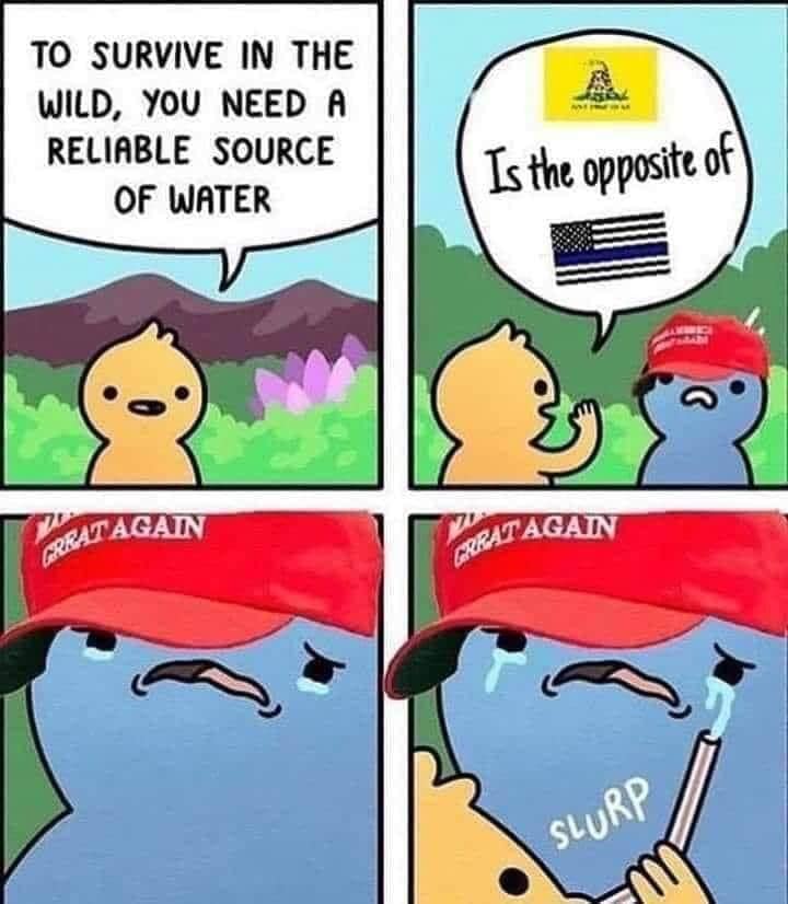 This meme is a humorous illustration of a conversation between two characters. The first character says "To survive in the wild, you need a reliable source of water." The second character responds with a "2" and a "1" followed by a flag, which is a reference to the infamous "2" and "1" flags from the internet, often used to express a sense of "I'm not going to engage with this." The second character then says "I am the opposite of" followed by the American flag and the "Don't Tread on Me" flag, which are both symbols of American patriotism.