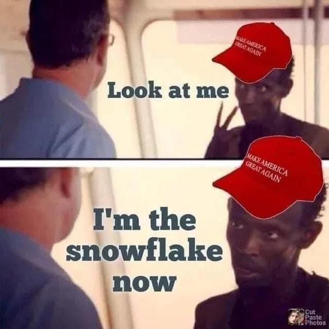 This meme is a play on the 2016 US presidential election, specifically Donald Trump's campaign slogan "Make America Great Again." The image shows a character from the movie "The Dark Knight" (Joker) and a character from the movie "The Shawshank Redemption" (Red) having a conversation. The text in the image reads "Look at me" and "I'm the snowflake now," referencing a 2016 Twitter controversy where a woman was called a "snowflake" after complaining about a Trump supporter's tweet.