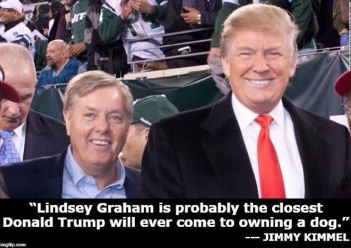 This meme is a humorous comparison between two politicians, Donald Trump and Lindsey Graham, made by comedian Jimmy Kimmel's show host, Jimmy Kimmel. The meme uses an image of the two politicians and a quote from Jimmy Kimmel, saying "Lindsey Graham is probably the closest Donald Trump will ever come to owning a dog."