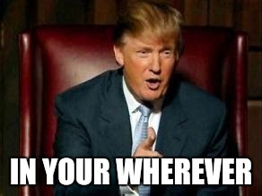 This meme features a photo of Donald Trump, the 45th President of the United States, with a smug expression. The image is captioned "In your words" but has been altered to "In your wherever". The meme is a play on words, taking the original phrase and replacing "words" with "wherever", implying that Trump is trying to have a conversation with someone but is actually just speaking to himself.
