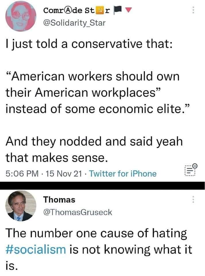 The meme is a Twitter exchange between two users. The first user, @SolidarityStar, responds to a conservative's comment about American workers owning their workplaces, saying it's a myth. The second user, @ThomasGruseck, points out that the idea is not true, citing a lack of understanding about socialism. The text in the image reads: "I just told a conservative that 'American workers should own their workplaces' and they said 'I don't know what socialism is'."