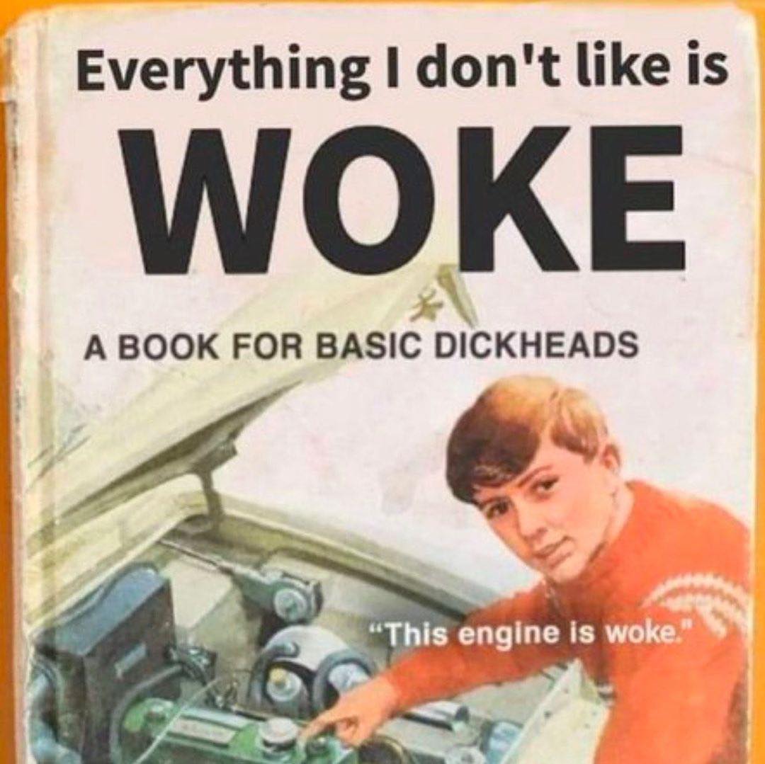 This meme is a playful take on the popular book "Everything I Know I Learned in the Schoolyard" and is reimagined to be "Everything I Don't Like is Woke". The image features a book cover with a young boy looking at a car engine, with the text "Everything I don't like is woke" and a quote "This engine is woke" written in a childlike font. The meme is poking fun at the idea that everything is now "woke" and that even something as mundane as a car engine is now being labeled as "woke".