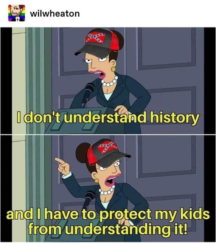 The meme is a two-panel image featuring a character from the animated TV show "Family Guy" named Lois, who is known for her sarcastic and humorous comments. In the first panel, she says "I don't understand history" and in the second panel, she says "And I have to protect my kids from understanding it!" The image is meant to be humorous and ironic, poking fun at the idea that people often try to shield their children from the harsh realities of history.