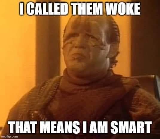 This meme is a still image from the Star Trek: Deep Space Nine series, featuring a character with a scowl on his face. The text "I... BROTHER, WHERE ARE YOU?" is overlaid on the image, but it has been replaced with the text "I... CALLED THEM WOKE... THAT MEANS I AM SMART". The image is a humorous take on the original quote, implying that the character is being ironic and sarcastic about being "woke" and being smart.