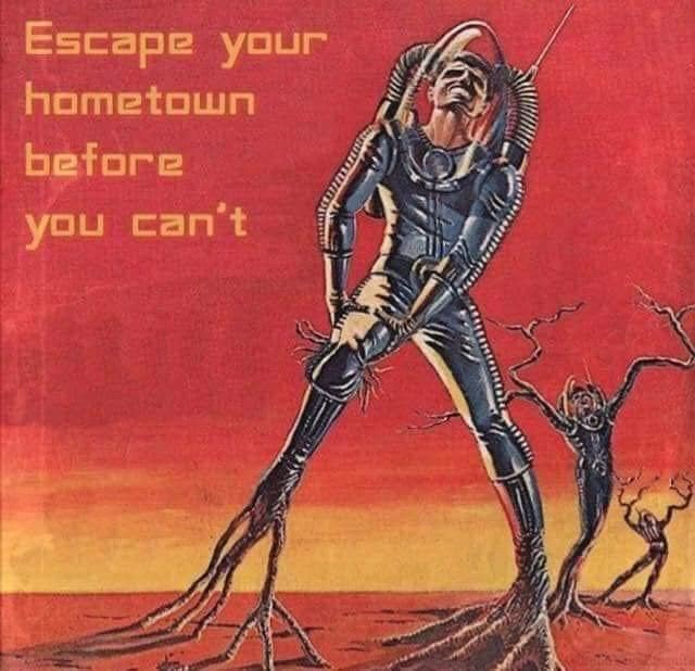 The meme is an image of the character from the movie "The Terminator" (played by Arnold Schwarzenegger) in a humorous, exaggerated pose. The text in the image reads: "I'll be back... to your hometown... to kill your friends and family... and then I'll be back... for your snacks."