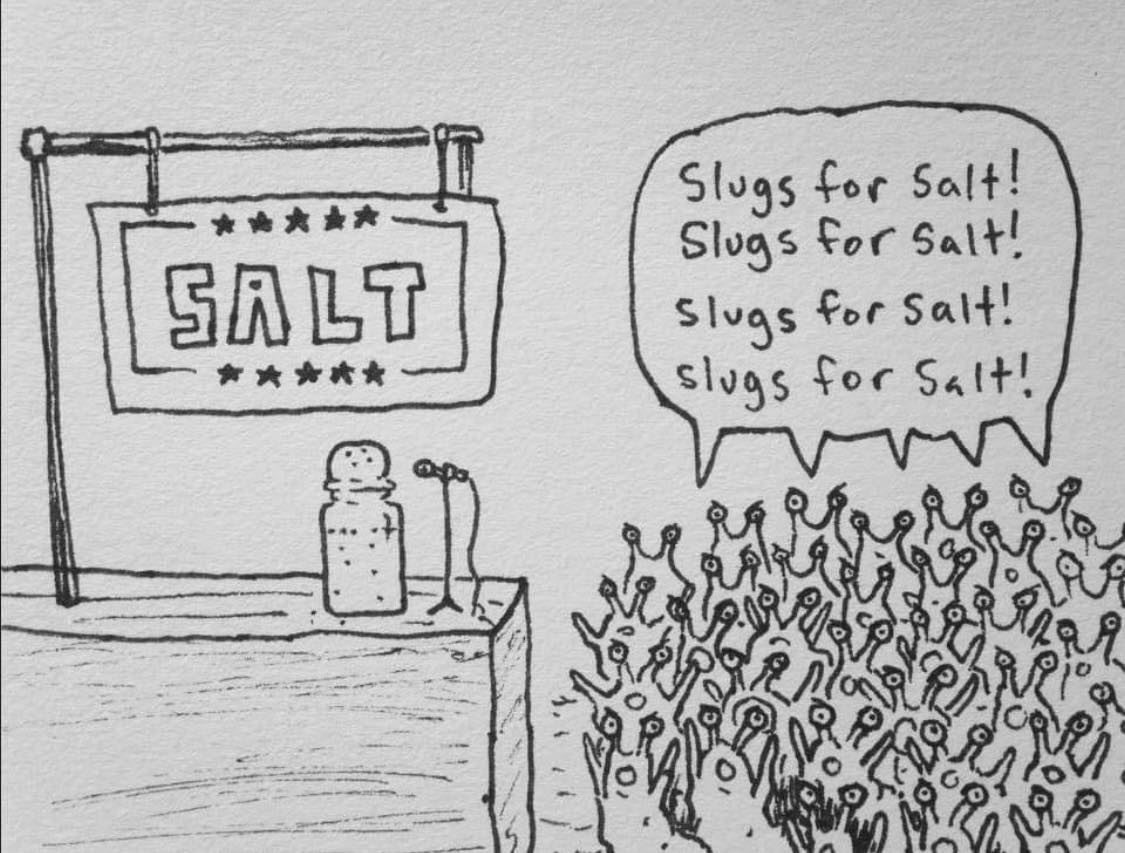 The meme is a simple drawing of a salt stand with a sign that says "Salt" and a jar of salt on a table. A crowd of aliens is gathered at the stand, and one of them is holding a sign that says "Slugs for Salt!" The text in the sign is a play on words, as "slugs" sounds similar to "salt" and is being used as a humorous and absurd request for the aliens to trade for the salt.