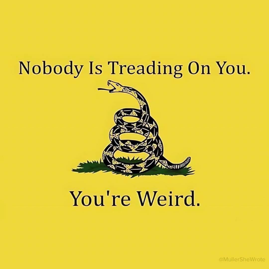 This meme is a humorous commentary on the phrase "you're weird" being turned into an insult. The image features a Gadsden flag, which is a historical American flag with a coiled snake and the phrase "Don't Tread On Me." In this meme, the phrase has been altered to "Don't Tread On Me... You're Weird" with the snake's head changed to a snake that is "treading" on the person, and the text below reads "Nobody Is Treading On You. You're Weird."