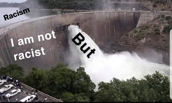 The meme is a photo of a dam with water overflowing, with the text "I am not racist" and "But" written in the spillway, implying that despite one's claim of not being racist, there is evidence to the contrary. The word "But" is written in the spillway, as if it's a flood of evidence that contradicts the claim. The meme is a humorous way of saying that someone's words don't match their actions.