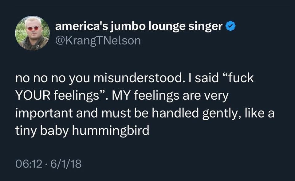 The meme features a tweet from KrangTNelson, an American singer-songwriter, that reads: "no no no you misunderstood. I said 'fuck YOUR feelings'. MY feelings are very important and must be handled gently, like a tiny baby hummingbird." The tweet is a humorous commentary on the importance of one's own feelings, using an exaggerated and absurd analogy to convey the point. The tone is lighthearted and playful, with a touch of sarcasm.