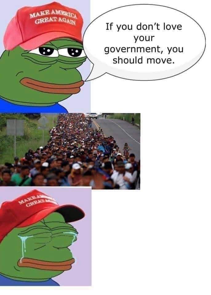 This meme features the Pepe the Frog character from the internet meme "Pepe" with a red "Make America Great Again" hat, but it's actually wearing a "Make Pepe Great Again" hat with a speech bubble saying "If you don't like the way I'm doing it, I'm going to do it my way".