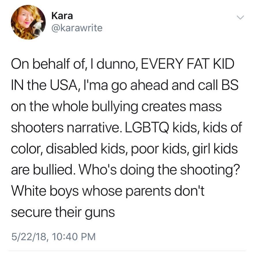 The meme is a humorous and satirical take on the recent mass shootings in the US. The image features a text that reads: "On behalf of, I dunno, EVERY FAT KID IN THE USA, I'ma go ahead and call BS on the whole bullying creates mass shooters narrative." The text then lists various groups of people who are often blamed for being responsible for mass shootings, including LGBTQ kids, kids of color, disabled kids, poor kids, and kids who are bullied. The text ends with "White boys whose parents don't secure their guns."