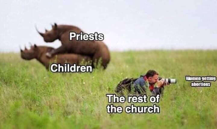 This meme is a play on the idea of a photographer being in the perfect position to take a shot. The image is of a photographer lying in the grass, with a caption "Priests > Children" above them, and a caption "The rest of the church" below them. The punchline is that the photographer is actually aiming at a woman getting an abortion, which is a humorous and ironic twist on the idea of a photographer in a perfect position.