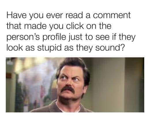 This meme is a humorous image featuring a still from the TV show "Parks and Recreation" with character Ron Swanson looking surprised. The text above the image reads, "Have you ever read a comment that made you click on the person's profile just to see if they look as stupid as they sound?" The meme is poking fun at the idea that some comments on the internet can be so ridiculous that you might want to see the person's profile to see if they live up to the absurdity of their comment.