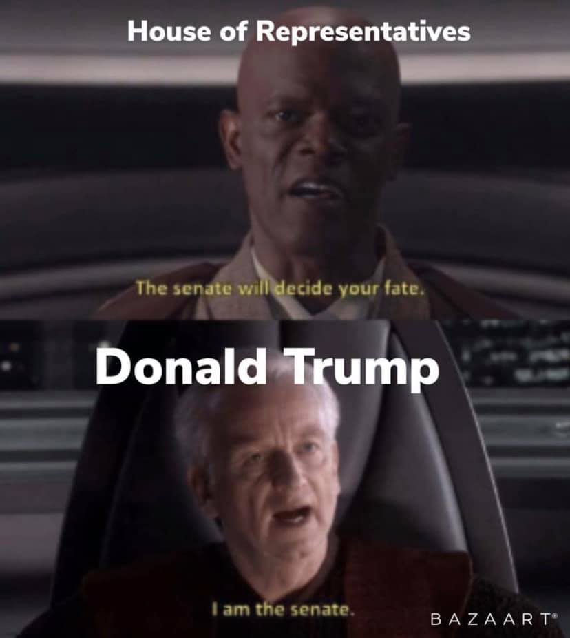 This meme is a play on the infamous "I am the Senate" scene from the movie Star Wars: The Phantom Menace. The image features a split-screen comparison between a character from the movie and a famous politician, with the text "I am the Senate" overlaid on top of a photo of Donald Trump. The meme is poking fun at Trump's claim to be a leader of the Senate, which is a ridiculous and humorous claim.