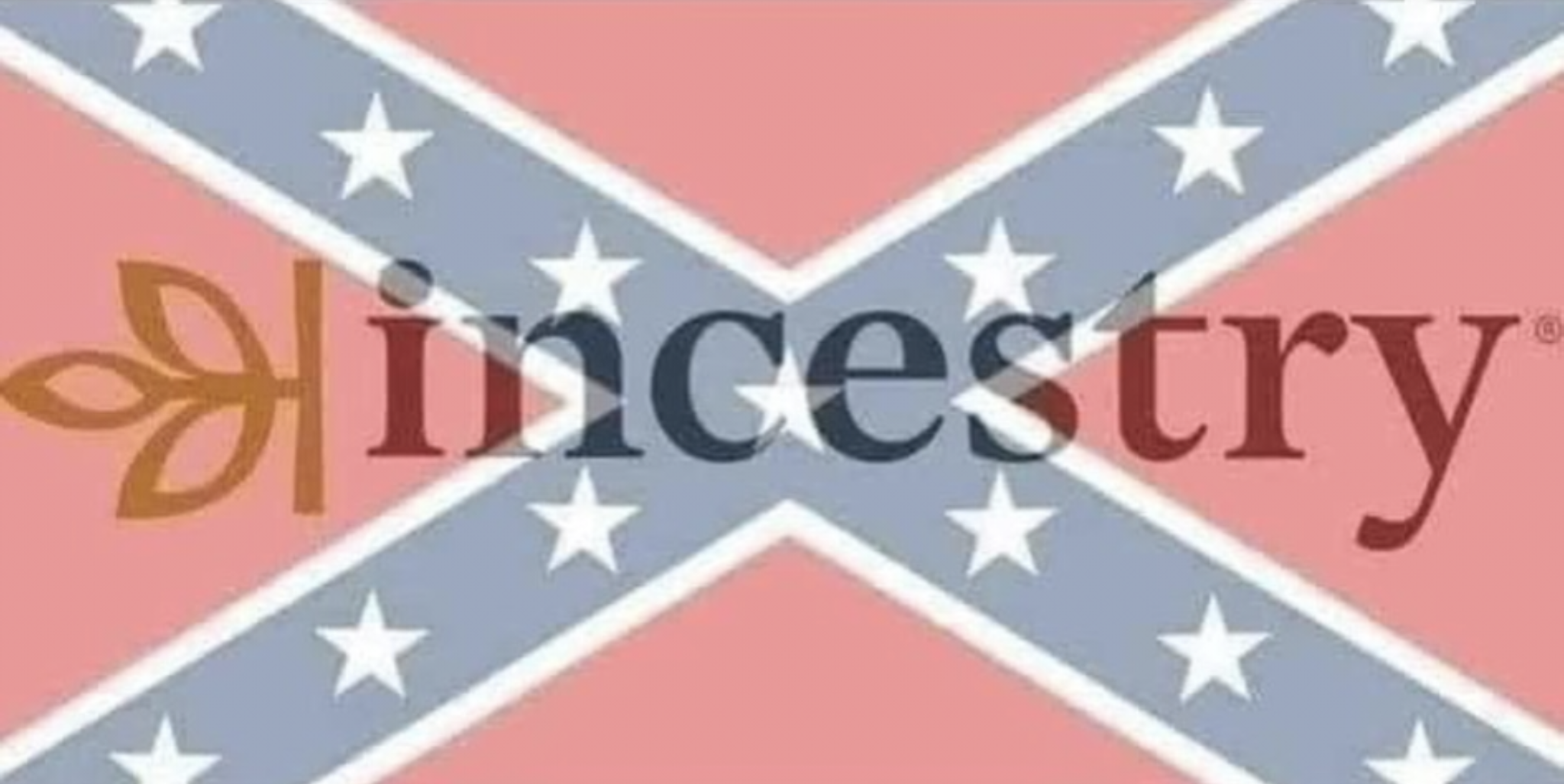 This meme is a play on the infamous "I can see your house" meme, but with a humorous twist. The image features a stylized image of the Confederate flag, with the words "I can see your house" written in a bold, playful font. However, the text is overlaid with a red "X" symbol and the words "I can see your house" are replaced with "I can see your family tree", implying that the speaker can see the family history or ancestry of the person being addressed.