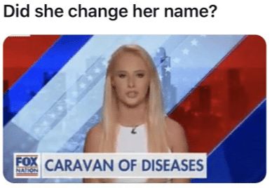 This meme is a screenshot of a TV news anchor, likely from the Fox News channel, with a caption above it. The text "Did she change her name?" is at the top, implying that the anchor's name is being referenced in a humorous or ironic way. The image below shows a woman with a serious expression, likely a news anchor, with a graphic overlay that reads "Caravan of Diseases" in a satirical or ironic tone.