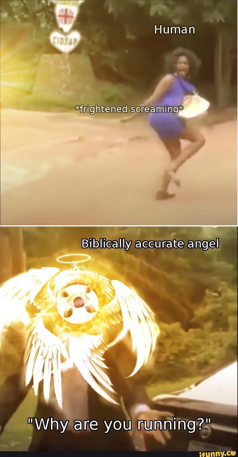 The meme features two images. The top image shows a woman running in fear, with the caption "Human: *frightened screaming*". The bottom image shows a cartoon angel with a shocked expression, captioned "Angel: *why are you running?*". The meme is humorous because it exaggerates the human's fear and the angel's confusion, implying that the human's fear is irrational and the angel's question is a silly response to the situation.
