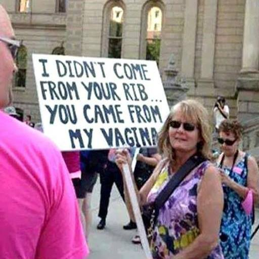 This meme is a photo of a woman holding a sign with the words "I didn't come from your rib, you came from my vagina". The image is likely a humorous take on the biblical story of creation, where God creates Adam and Eve. The sign is a playful and irreverent take on the idea that Eve was created from Adam's rib, rather than the other way around.