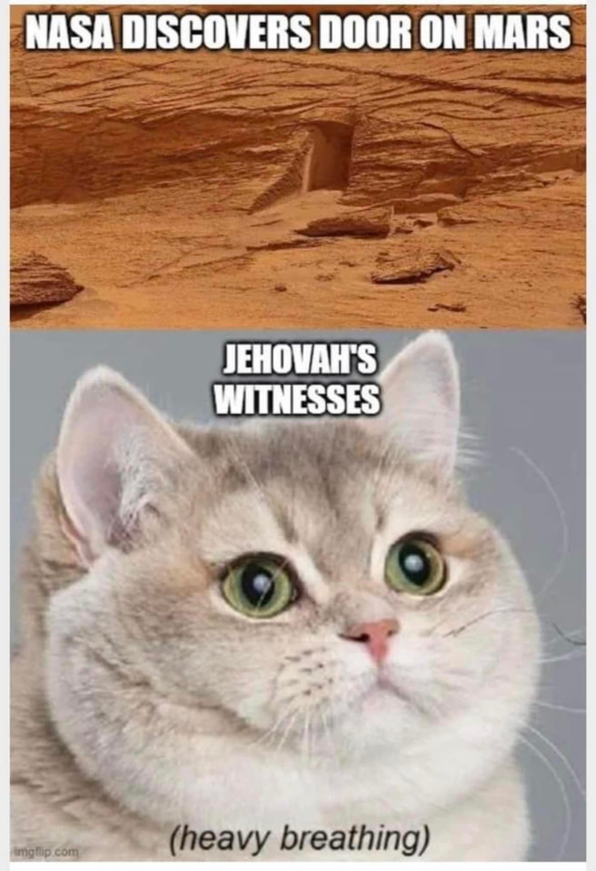 This meme is a humorous comparison between a NASA discovery on Mars and a common image of a cat. The top image shows a NASA headline about a discovery on Mars, but the image is actually of a rock formation that resembles a door. The bottom image features a picture of a cat with a caption "Jehovah's Witnesses" (implying that they are the ones who would be excited about such a discovery). The meme is poking fun at the idea that Jehovah's Witnesses would be excited about a discovery on Mars, implying that they would be eager to spread the word about the "door" on Mars.