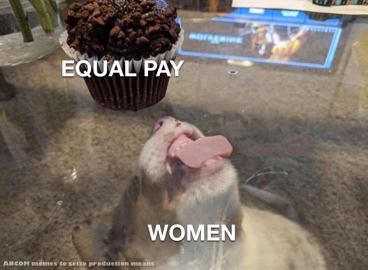 The meme is a photo of a dog looking up at a cupcake on a counter, with its tongue out in a comically exaggerated expression. The text "EQUAL PAY" is written above the cupcake, and "WOMEN" is written above the dog. The implication is that women are being underpaid or undervalued, much like the dog is being denied the cupcake.