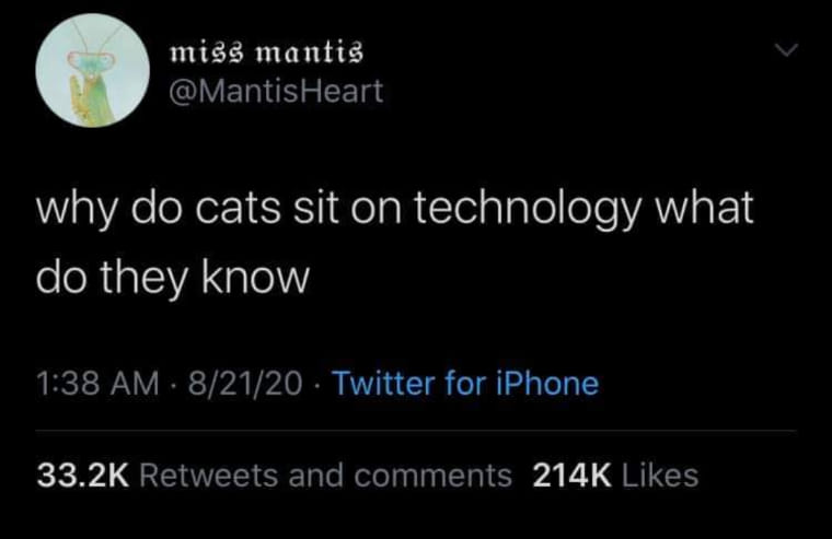 This meme is a screenshot of a Twitter post that says "why do cats sit on technology? do they know something we don't?" It's a humorous and relatable question that pokes fun at the common phenomenon of cats sitting on electronic devices, as if they're trying to understand or control them.