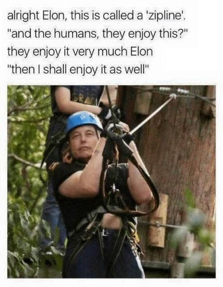 This meme is a play on the popular "zipline" experience, but with a humorous twist. The text at the top reads: "Alright Elon, this is called a 'zipline'. 'And the humans, they enjoy this?' They enjoy it very much. Elon: 'Then I shall enjoy it as well'." The image is likely a photo of Elon Musk, but the text is a humorous take on his personality and his potential reactions to various experiences.