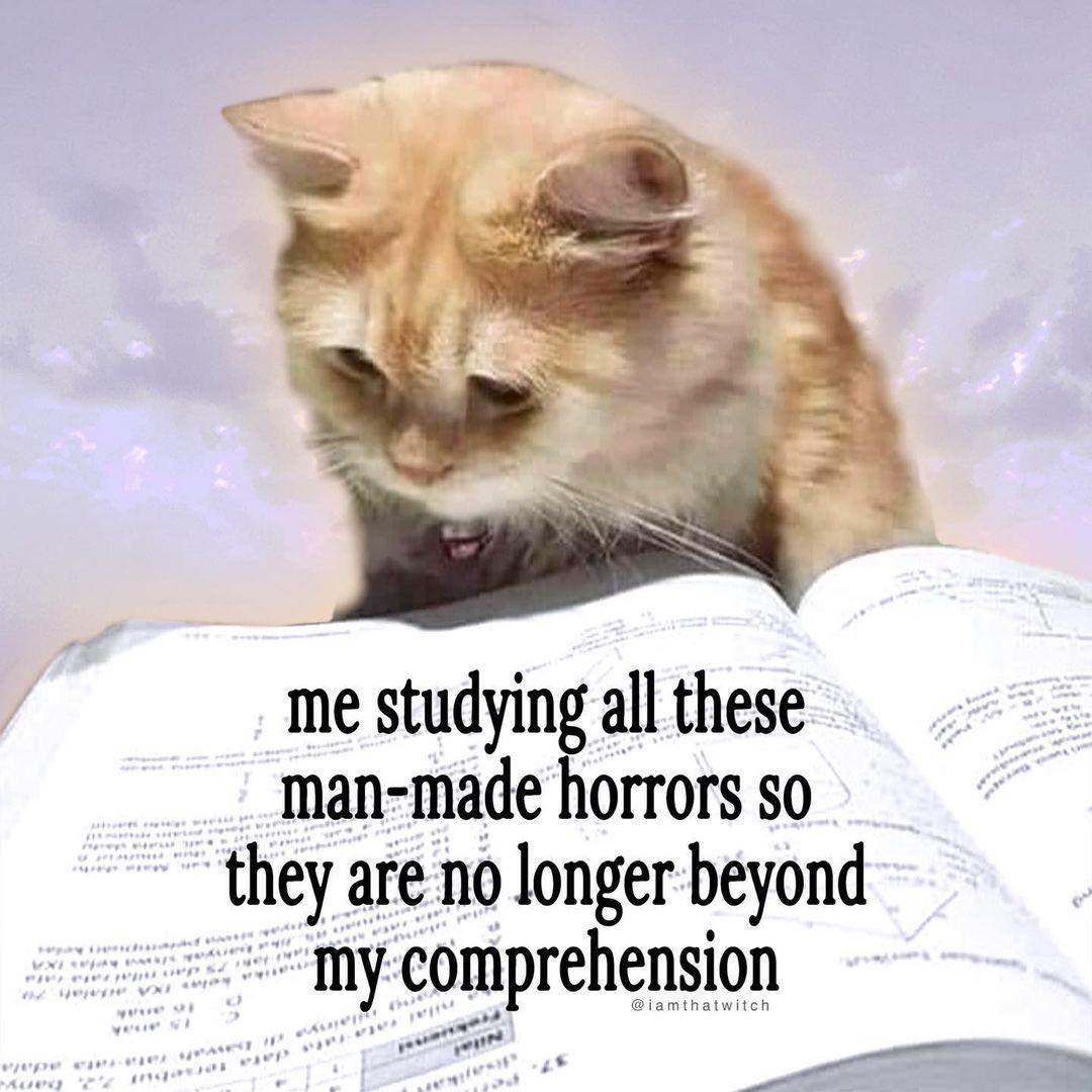 This meme features an image of a cat reading a book, with the text "me studying all these man-made horrors so they are no longer beyond my comprehension" overlaid on it. The image is humorous because it shows a cat, an animal typically known for its independence and lack of interest in human activities, studying and trying to understand complex and disturbing concepts. The text is a tongue-in-cheek expression of a student's frustration with difficult coursework.