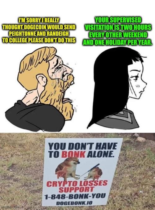 The meme is a humorous exchange between two characters, with the first saying "I'm sorry I thought Dogecoin would send Peightonne and Randegh to college" and the second responding with "Your supervised visitation is two hours every other weekend and one holiday per year". The image is accompanied by a text that reads "I'm sorry I thought Dogecoin would send Peightonne and Randegh to college".