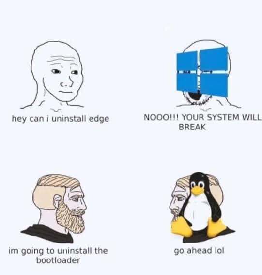 This meme is a humorous exchange between two individuals, one who wants to run a malicious code (a "malware") and the other who is trying to prevent it. The text in the image reads: "hey can i uninstall edge", "no you cant", "hey can i uninstall edge", and "no you cant". The second person is trying to protect the system from the malware by blocking the user's request to uninstall the Microsoft Edge browser.