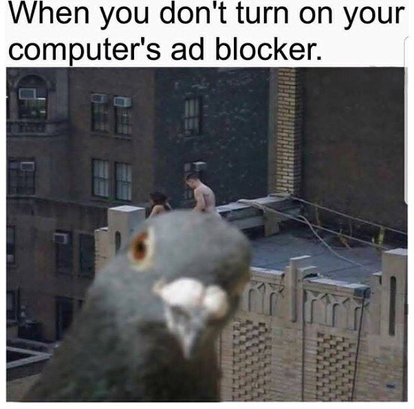 This meme is a humorous image of a pigeon looking directly at the camera with a menacing expression. The text at the top of the image reads, "When you don't turn on your computer's ad blocker." The meme is implying that the pigeon is like a pesky ad that won't go away, even when you try to block it.
