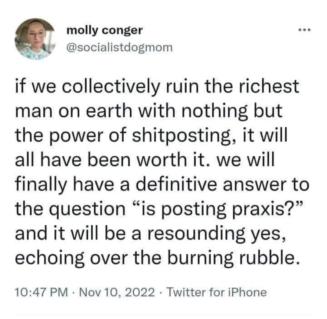 This meme is a humorous commentary on the current state of social media and online discourse. The text reads: "if we collectively ruin the richest man on earth with nothing but the power of shitposting, it will all have been worth it." The meme is likely referencing the idea that even the most powerful and wealthy individuals can be brought down by the collective power of the internet and social media, specifically through the use of "shitposting" or online harassment.