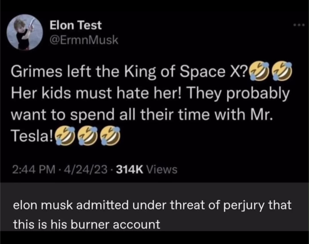 The meme is a screenshot of a tweet from Elon Musk's Twitter account, where he is responding to a tweet from the account "Elon Musk in the Metaverse" (which is a parody of Elon Musk's real Twitter account). The tweet says "Elon Musk in the Metaverse" is saying "grimes left the king of space x?". The tweet also includes an image of a laughing face emoji.