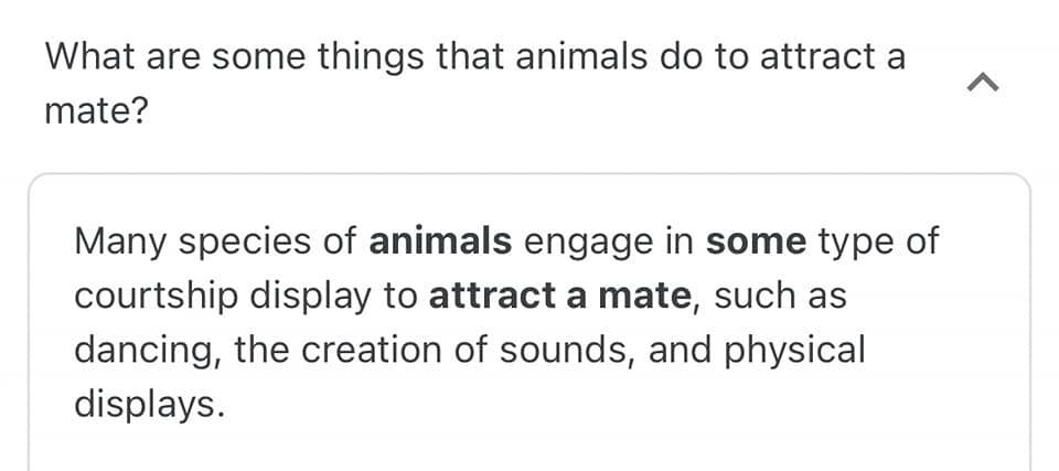 The meme is a screenshot of a Reddit comment thread. The user asks "What are some things that animals and humans can do in common?" and someone responds with "Animals and humans can both get drunk." The user then asks "What are some things that animals and humans can't do in common?" and someone responds with "Die."