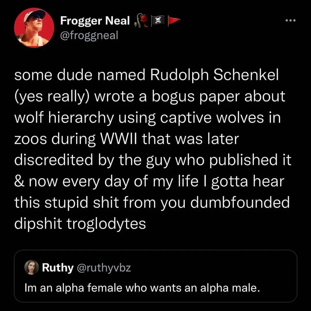 The meme is a screenshot of a Twitter conversation between two users. The original tweet is a sarcastic comment about a historical figure, Rudolph Schenkel, who wrote a paper about wolf hierarchy in the 1930s. The tweet is written in a playful, sarcastic tone, using a fictional character's name and a humorous description of a person's absurd statement about a historical figure.