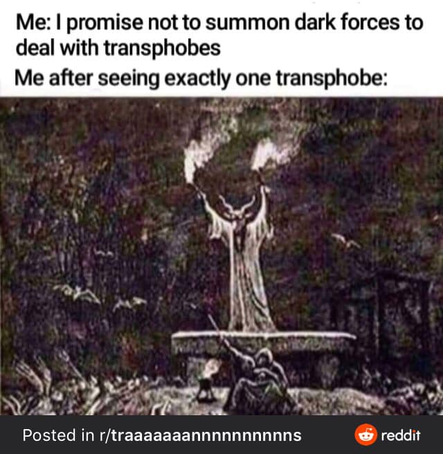 This meme is a humorous take on the popular fantasy trope of summoning dark forces. The text at the top reads "Me: I promise not to summon dark forces to deal with transphobes" and the bottom text says "Me after seeing one transphobe". The image is a dark and ominous illustration of a figure known as the "Crying Man" from the game Dark Souls, but in this meme it is captioned as "I summoned one transphobe".