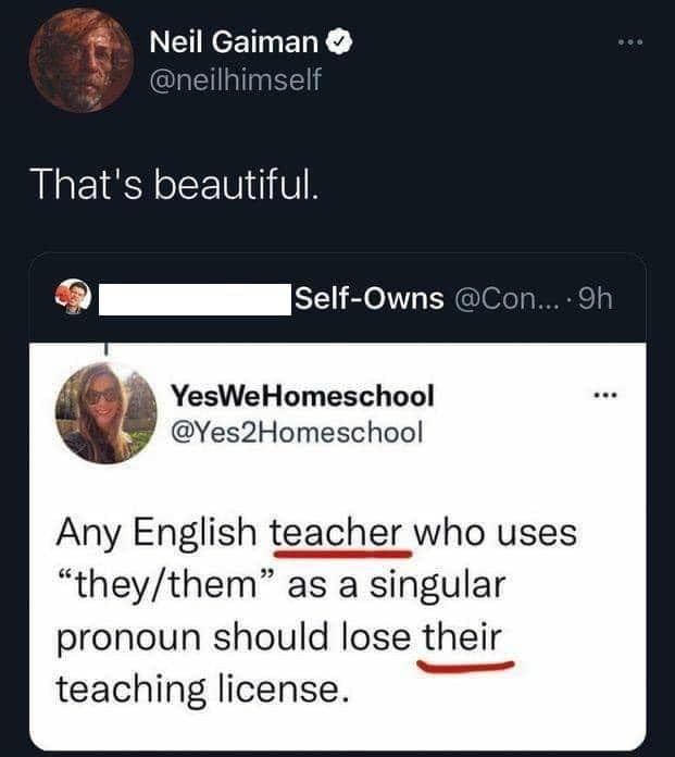 The meme is a screenshot of a tweet that pokes fun at a common grammar mistake. The tweet says "In 2-3 sentences, describe this meme for someone who cannot see it." It's a humorous way of saying that the meme is describing itself, and the absurdity of the request is the joke. The text includes a quote that says "In 2-3 sentences, describe this meme for someone who cannot see it."