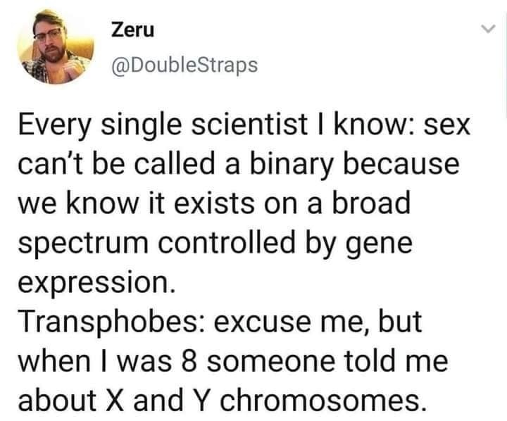 This meme is a humorous exchange between two individuals, one of whom is a trans person, and a scientist. The trans person says, "Every single scientist I know: sex can't be called a binary because we know it exists on a broad spectrum controlled by gene expression." The scientist responds with, "Transphobes: excuse me, but when I was 8 someone told me about X and Y chromosomes." The meme is poking fun at the idea that some people still don't understand the basics of biology and genetics.