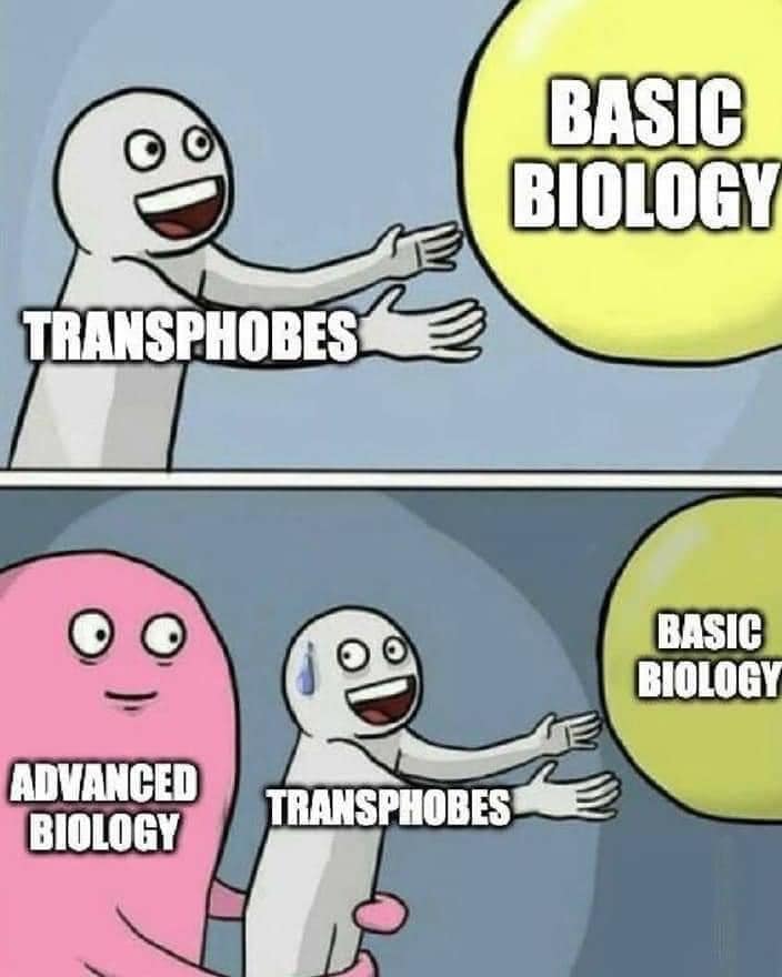 This meme is a play on the concept of "transphobia" (fear or hatred of trans people) and "transphobe" (a person who holds such a fear or hatred). The meme presents a character who is a "transphobe" and a "transphobe" is being approached by a "transphobe" and a "transphobe". The text in the image reads "Transphobe" and "Transphobe". The meme is a humorous way of highlighting the irony of a "transphobe" being approached by another "transphobe".