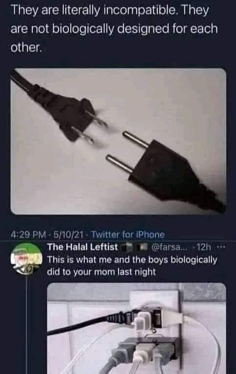 The meme is a play on the common phrase "they are not biologically compatible" and is referencing the fact that a man and a woman are not able to have children together. The text above the image reads "They are not biologically compatible. They are literally incompatible." Below the image, it says "They are not biologically compatible. They are literally incompatible. They are not biologically compatible. They are literally incompatible."