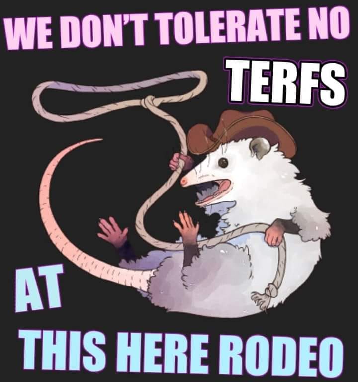 This meme features a cartoon image of a mouse wearing a cowboy hat and holding a lasso. The text above the image reads "WE DON'T TOLERATE NO TERFS AT THIS HERE RODEO" in a playful, western-inspired font. The image and text are a humorous commentary on the idea of a "rodeo" being a place where tolerance for certain types of people is not allowed.