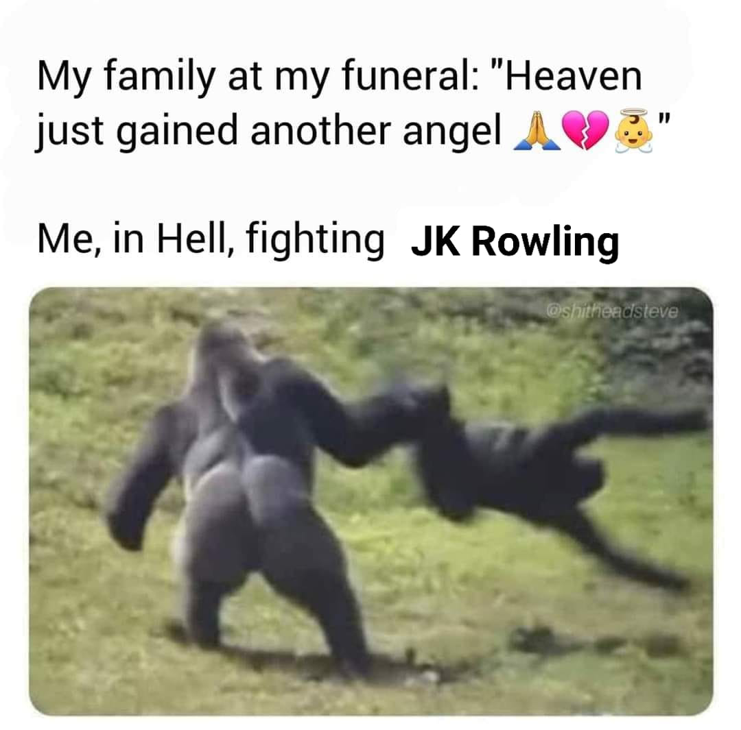 This meme is a humorous take on the idea of meeting one's ancestors in the afterlife. The text at the top reads, "My family at my funeral: 'Heaven just gained another angel.'" The image below shows a person being attacked by a giant gorilla, with the caption "Me, in Hell, fighting JK Rowling" implying that the person is being tormented by the author of the Harry Potter series in the afterlife.