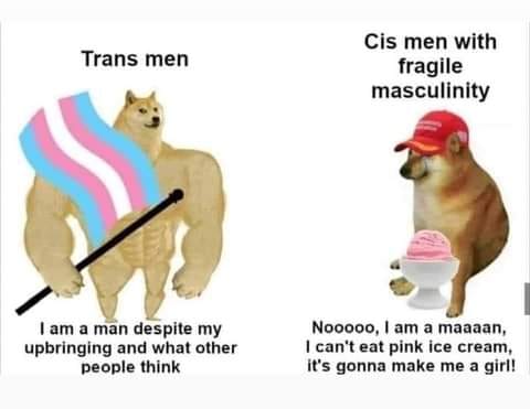 The meme is a humorous comparison between two images of dogs. The left image shows a dog with a muscular build and a transgender pride flag, captioned "Trans men: I am a man despite my body, what others think." The right image shows a dog wearing a "I'm with stupid" hat and eating ice cream, captioned "Cis men with fragile masculinity: I am a man, what others think." The meme pokes fun at the differences in how men and trans men are perceived and treated.