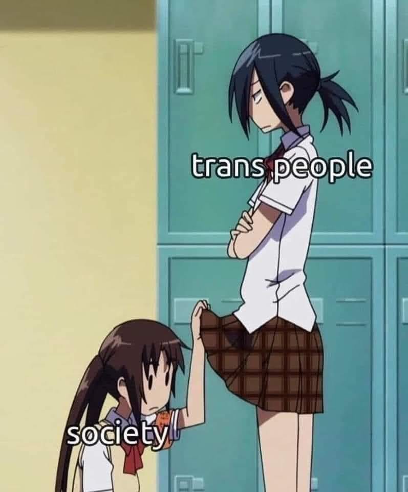 This meme is a humorous commentary on the societal expectations and treatment of trans individuals. The image depicts two anime-style girls, one of whom is being held back by the other, with text labels "trans people" and "society". The implication is that society is restraining or holding back trans individuals, emphasizing the struggles and challenges they face in their daily lives.